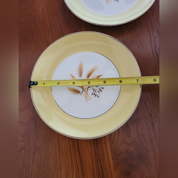 Autumn Gold 7 1/4" Dinner Plate by Century Service - Picture 4 of 6